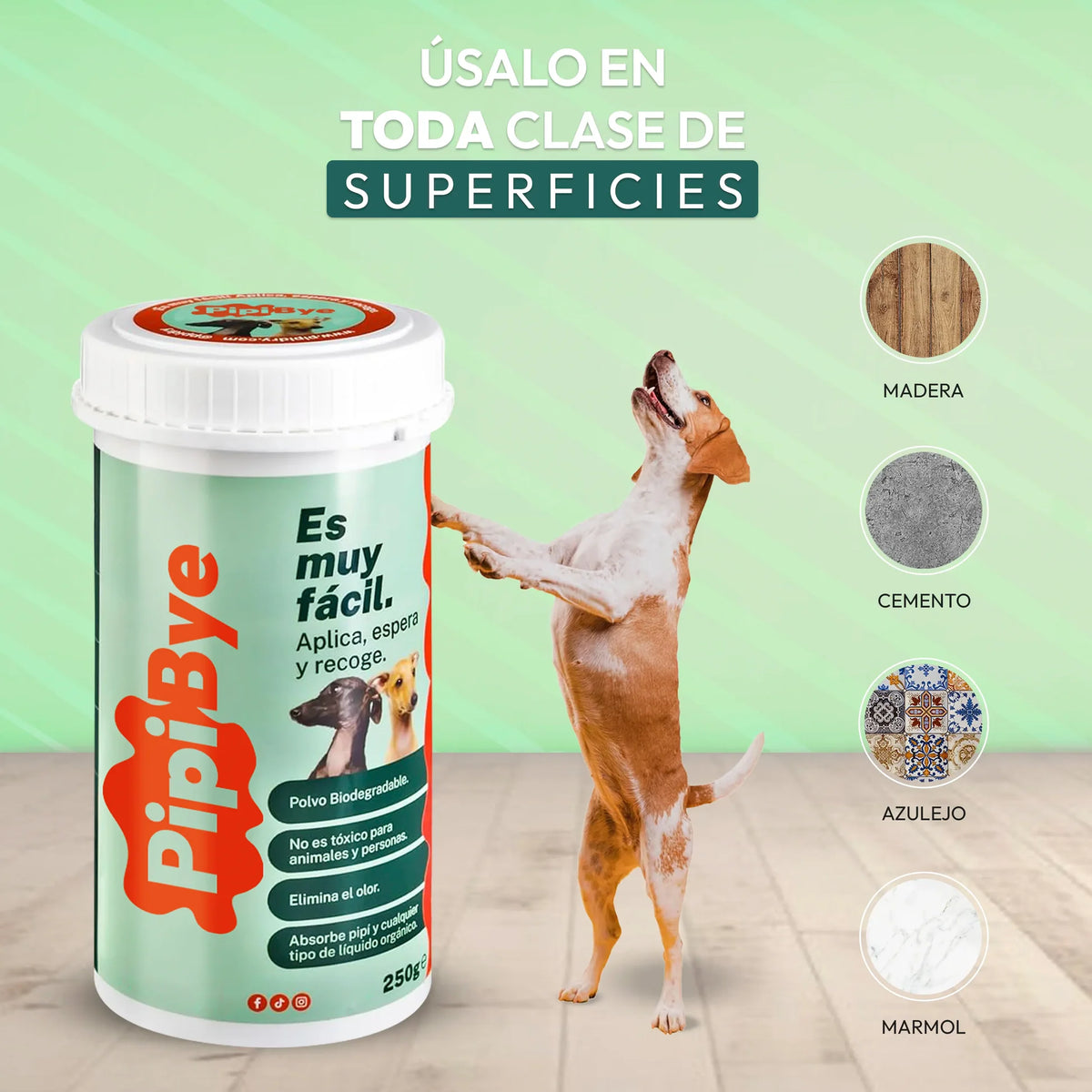 PIPIDRY EN POLVO 300 GR